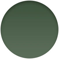 Correa deportiva verde trébol (41 mm) - Talla única - Image 4
