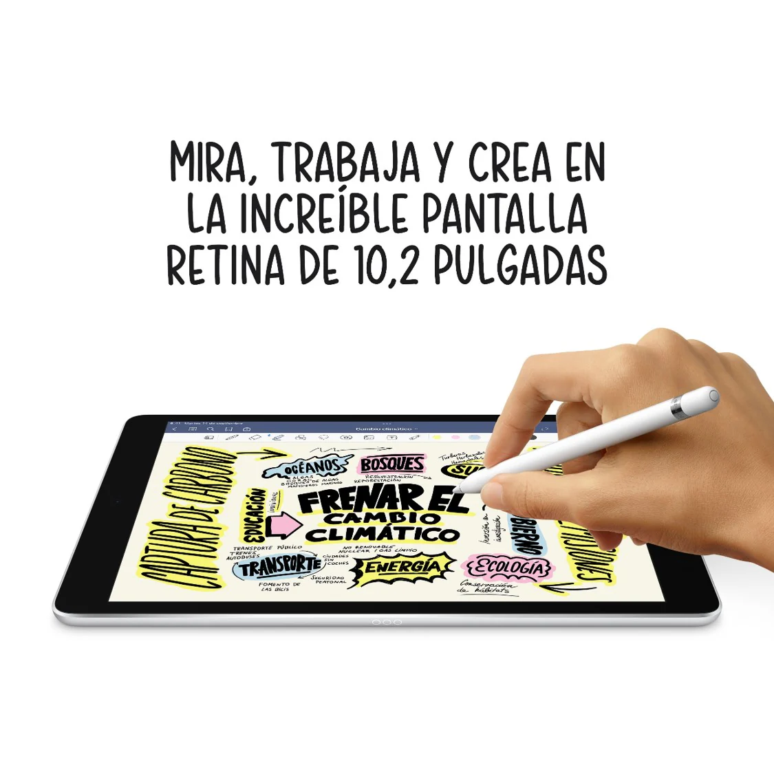 iPad de 10,2 pulgadas 256 GB Gris espacial Wi-Fi - Image 6