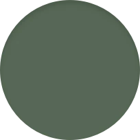 iPhone 13 Pro 1 TB Verde alpino - Image 11